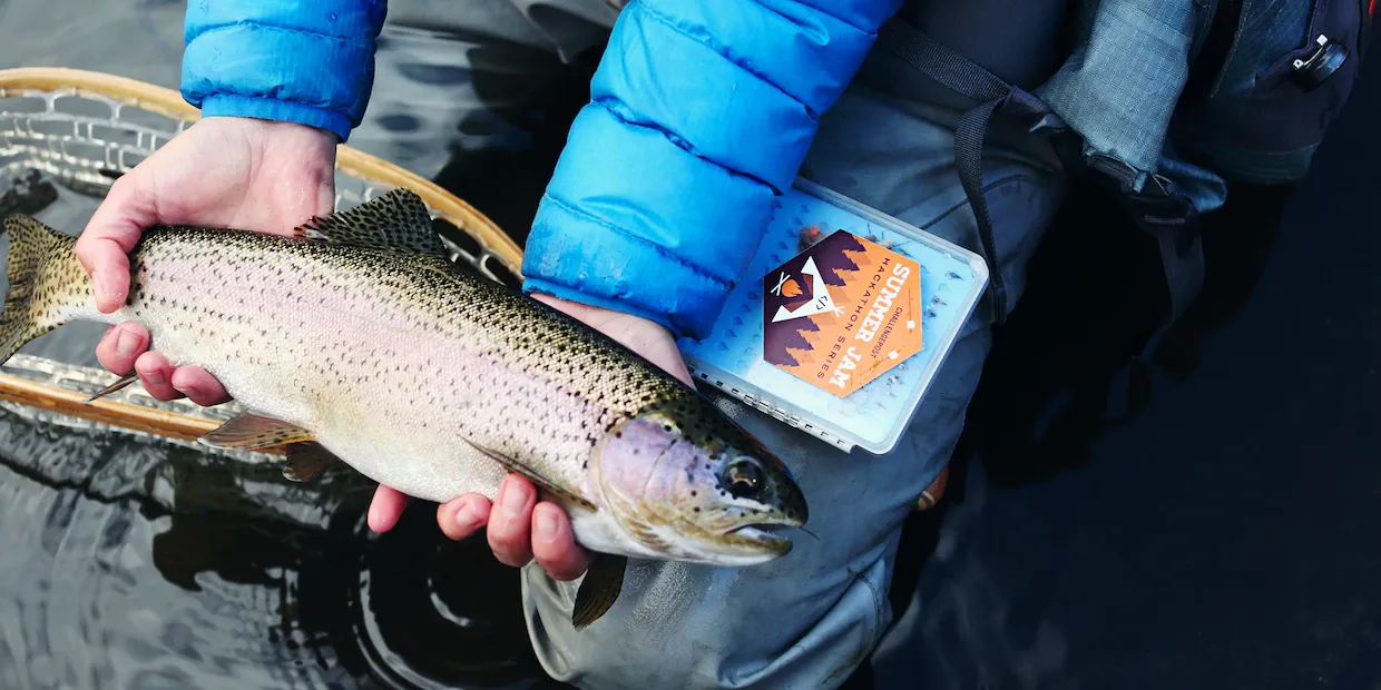 The Best Light Flies for Trout Fishing -- That You'll Wish You Knew About Sooner